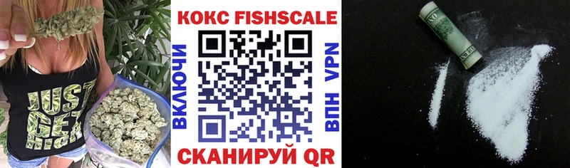 Купить закладки  Городец  Cocaine FishScale 