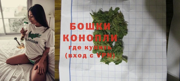 хмурый Каменногорск