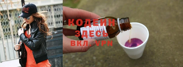 хмурый Каменногорск