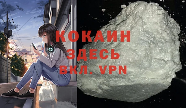 скорость Каменка