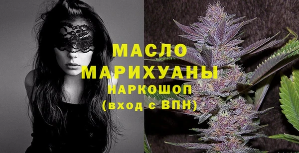 скорость Каменка