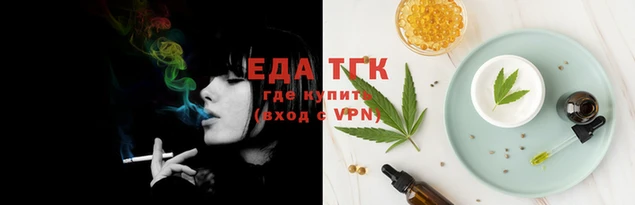 скорость Каменка