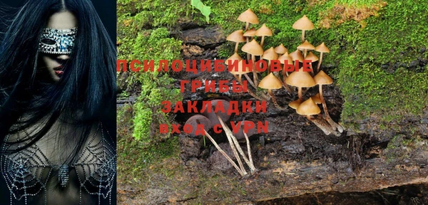 не бодяженный Каменск-Шахтинский
