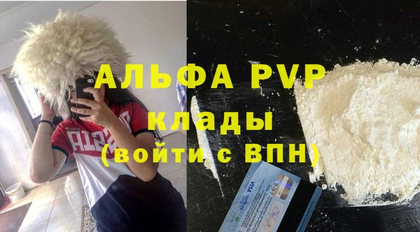 хмурый Каменногорск