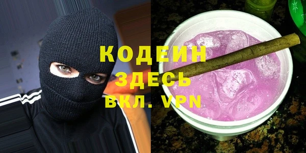 хмурый Каменногорск