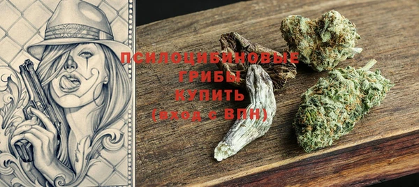 скорость Каменка