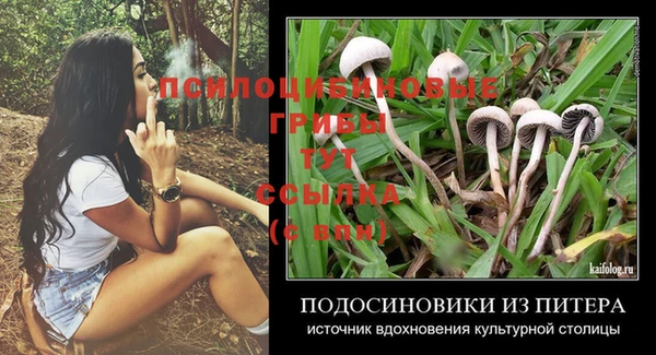 не бодяженный Каменск-Шахтинский